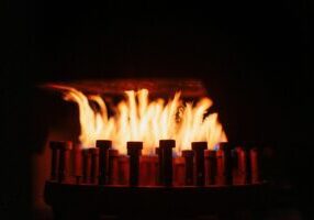 pexels-kelly-19142303